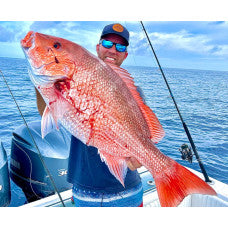 Jig Package for American Red Snapper