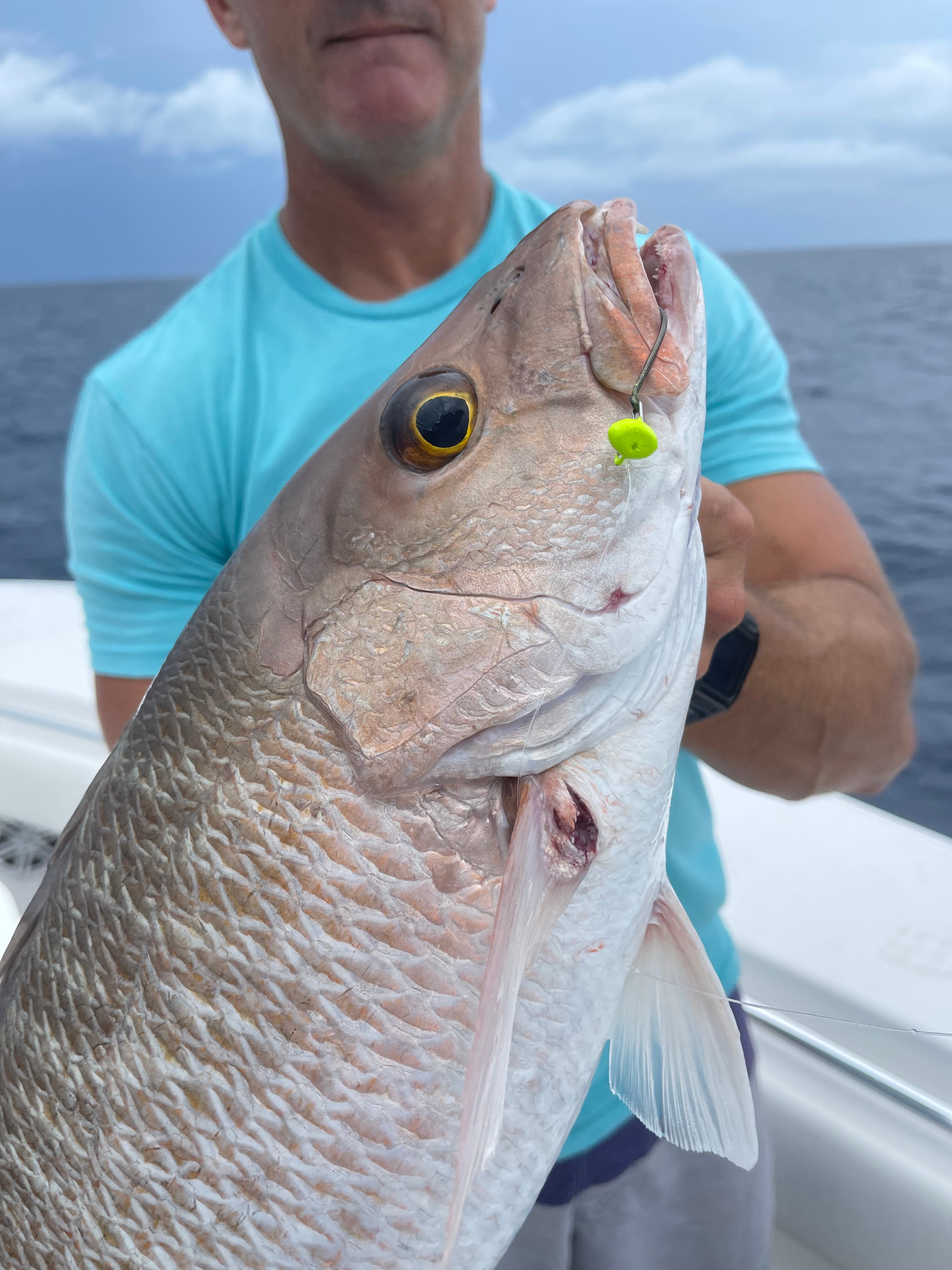 Snapper Packaged Mangrove Snapper Package (Shallow) – CaptainChappy